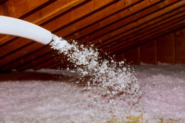 Best Energy Efficiency Solutions in Edgewater, MD