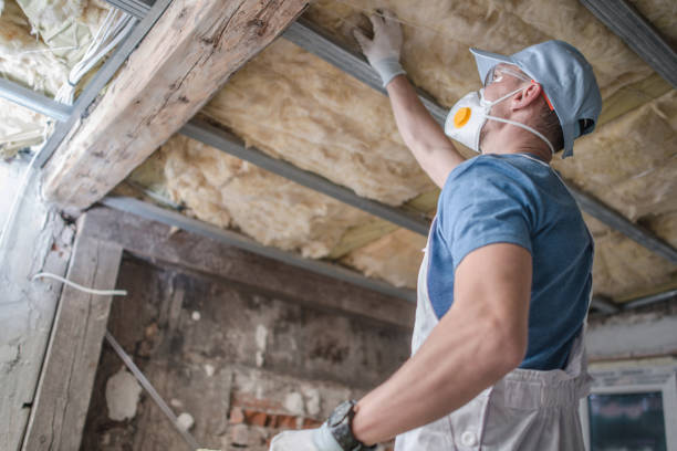 Best Insulation Installation Services in Edgewater, MD