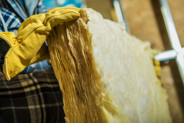 Best Insulation Maintenance and Repair in Edgewater, MD